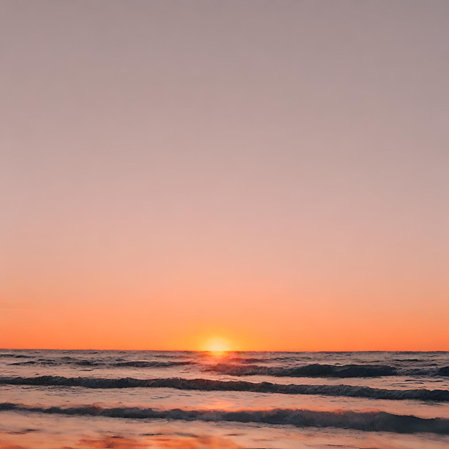 2026 새해 일출런