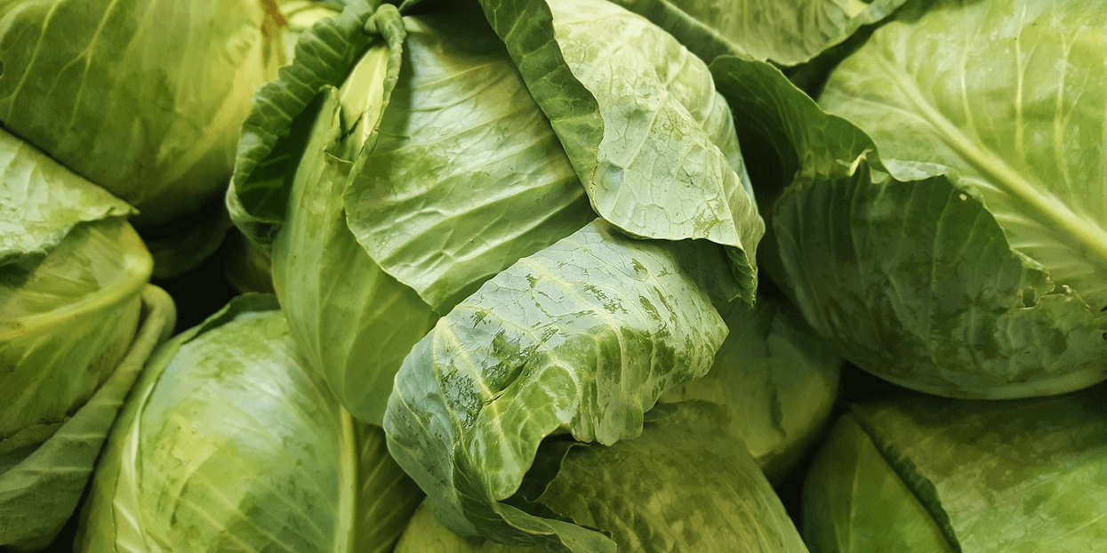 대장에 좋은 음식과 관련된 사진 - 5