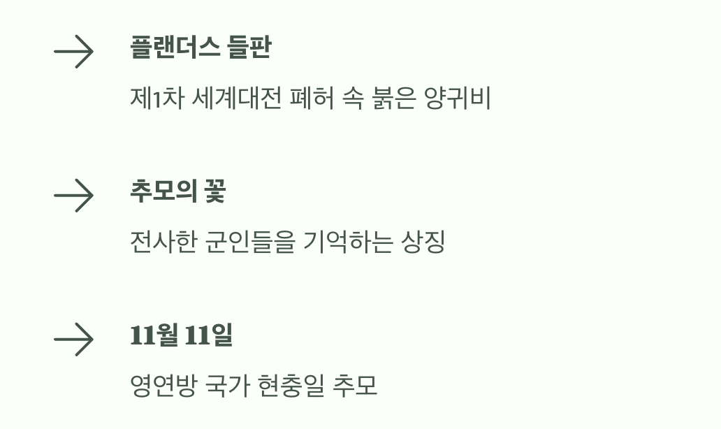 전쟁의 희생을 기리는 추모의 꽃