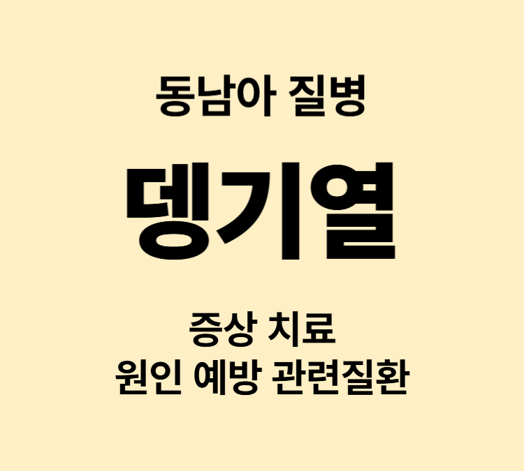 두통 눈통증 복통 관절통 동남아 뎅기열 증상 원인 치료법