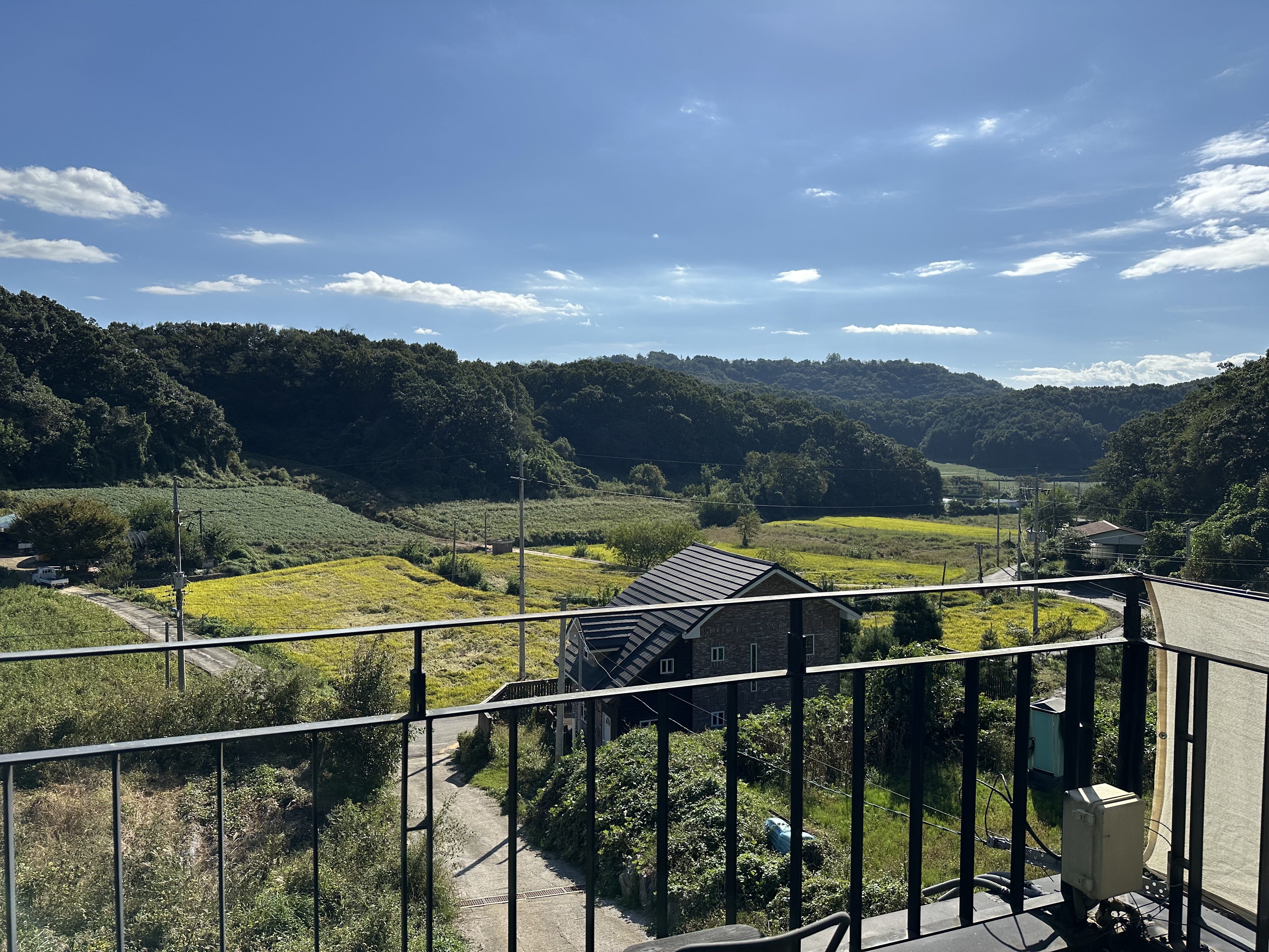 2024년 9월29일 아침 가을의 풍경