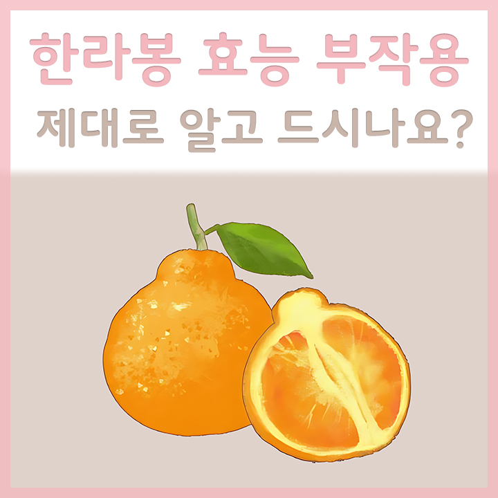 한라봉