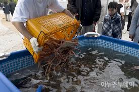 동해항 크랩 킹 페스타 기본일정과 특징 소개 초대가수 장민호 울랄라세션 박구윤 서영은 유태화 출연