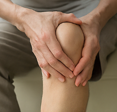 콘드로이친 효능