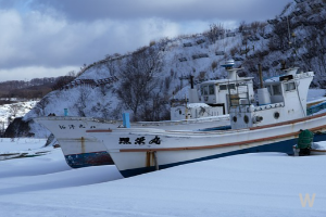 삿포로 축제정보 1