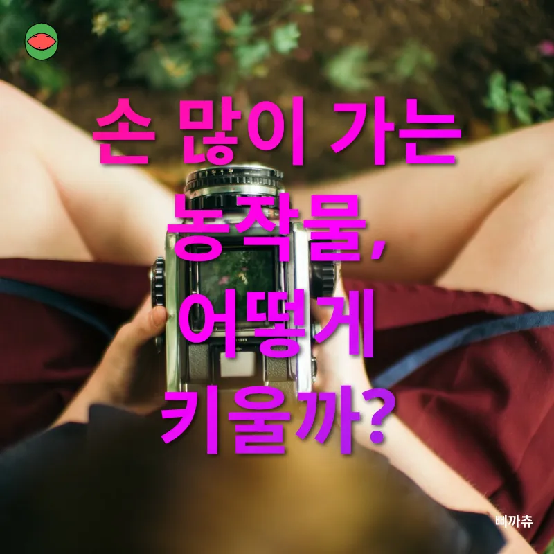 취미 농장 생활_2