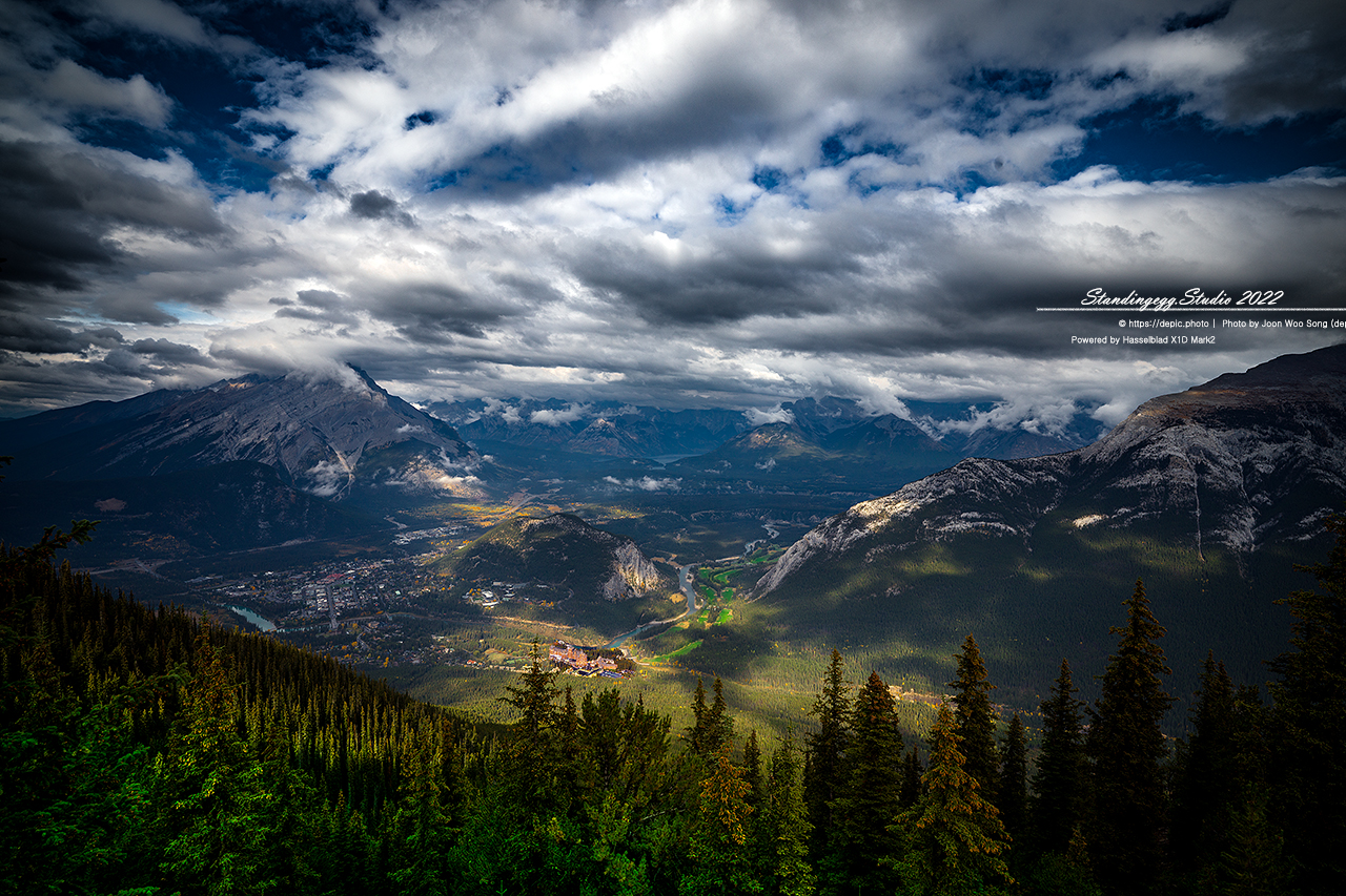 #캐나다 #로키 #산맥 #숲 #캐나다여행