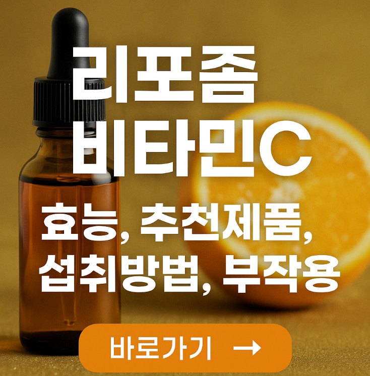 리포좀 비타민C 효능 및 추천 TOP5