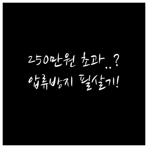 압류 방지 생계비 기준 250만 원 ..