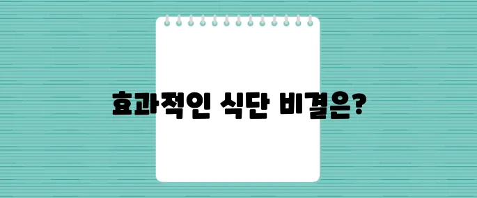 다이어트약 없이도 성공! 단기간 다이어트 식단 레시피