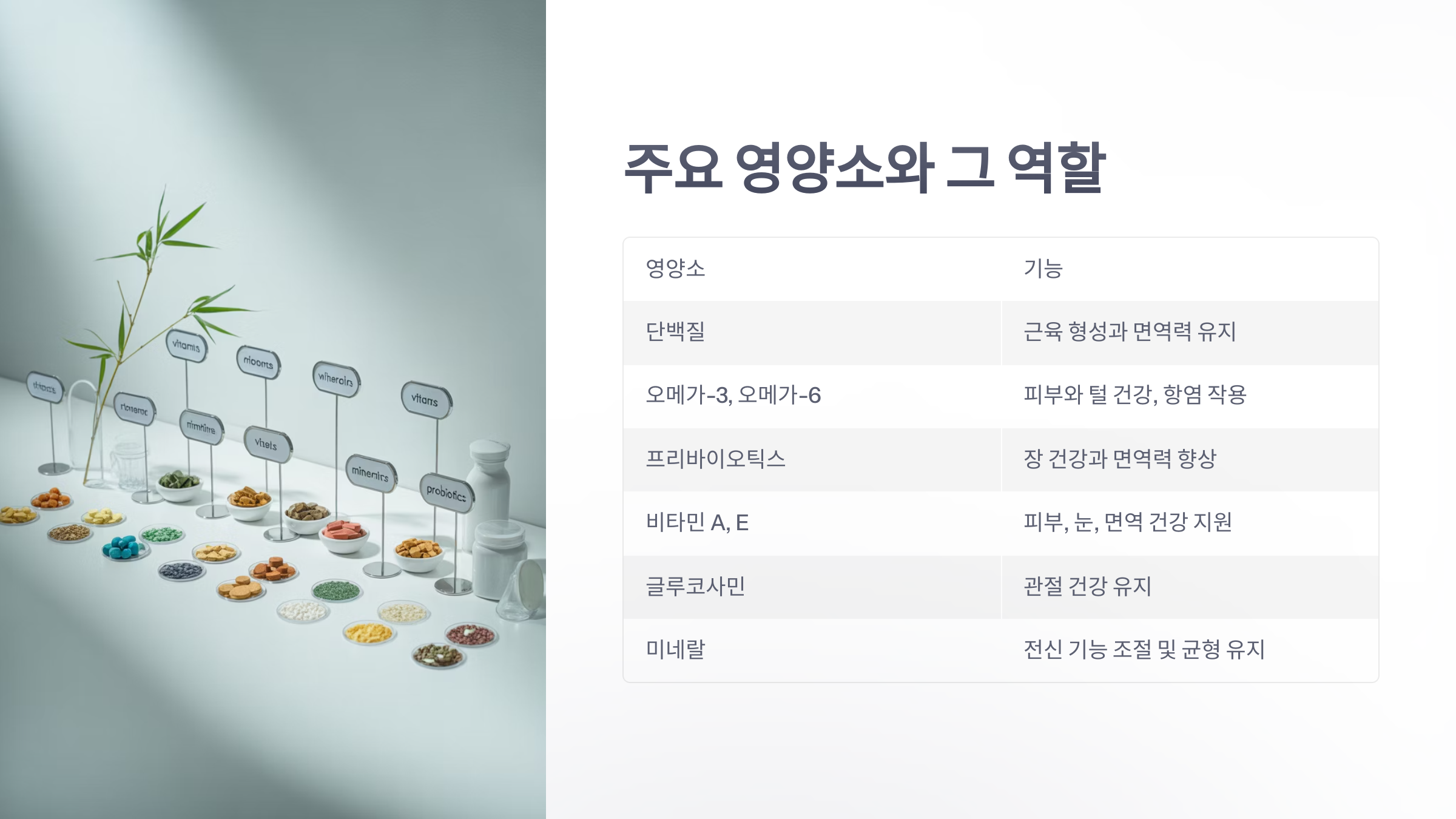 참조-홀리스틱-사료-영양소-3