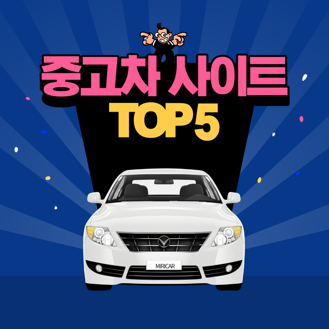 중고차 사이트 top5 사진