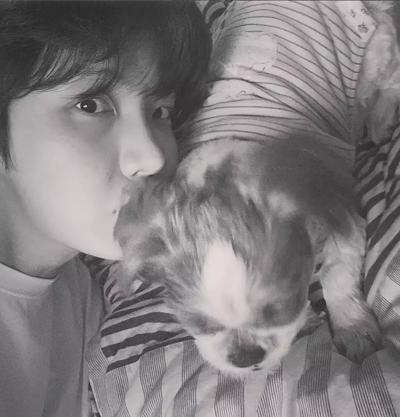 방탄소년단(BTS) 제이홉 특급전사로 선정