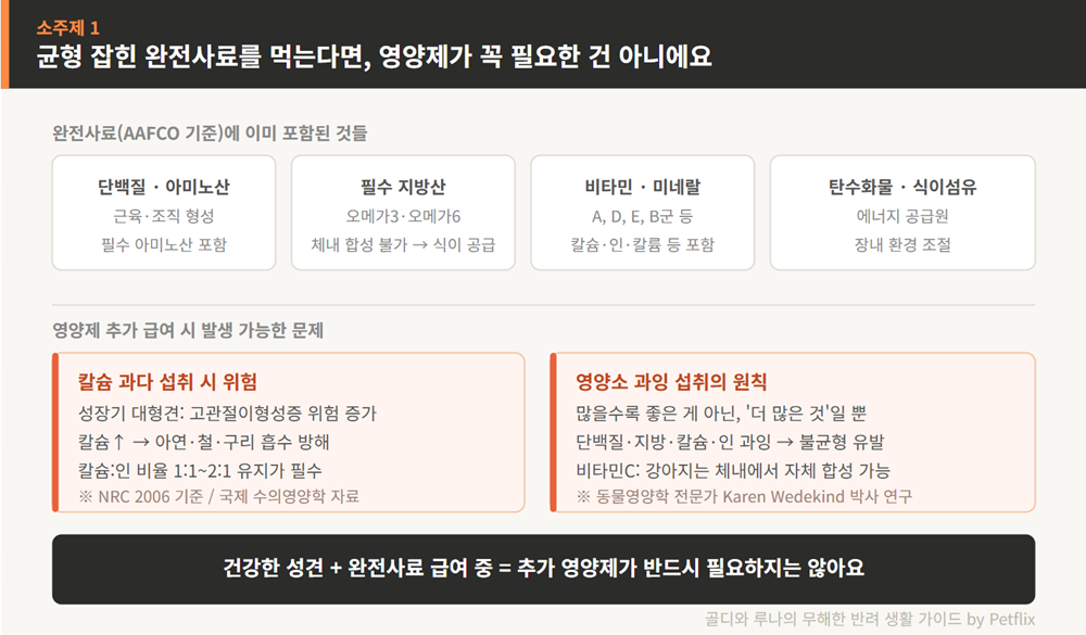 강아지 영양제, 완전사료 먹이면 추가 불필요?
칼슘 과다 부작용과 영양 균형 총정리