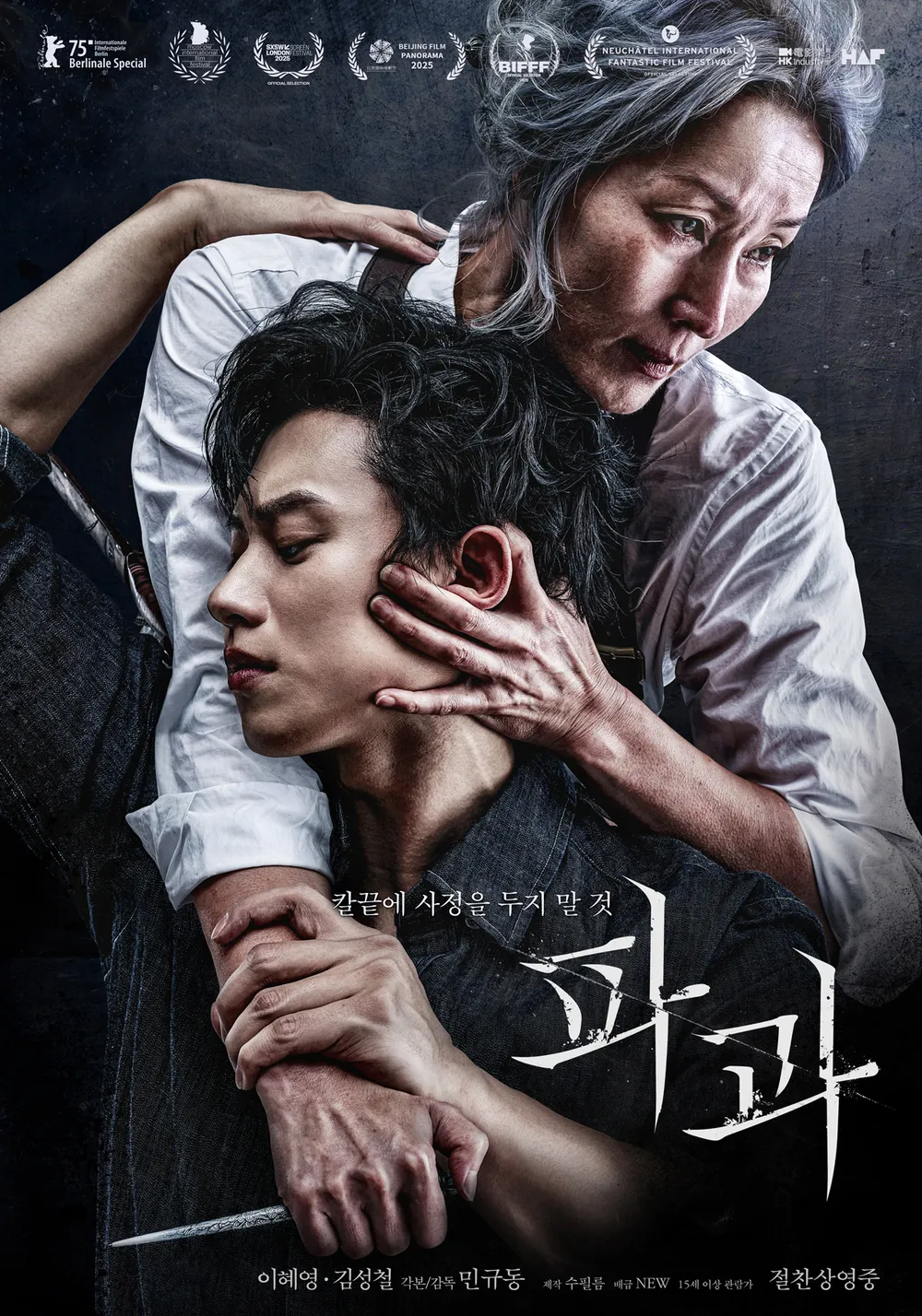 Poster about 'The Old Woman With The Knife(2025)'