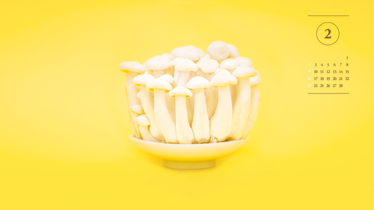 03 버섯 A - 2025년2월 노트북배경화면