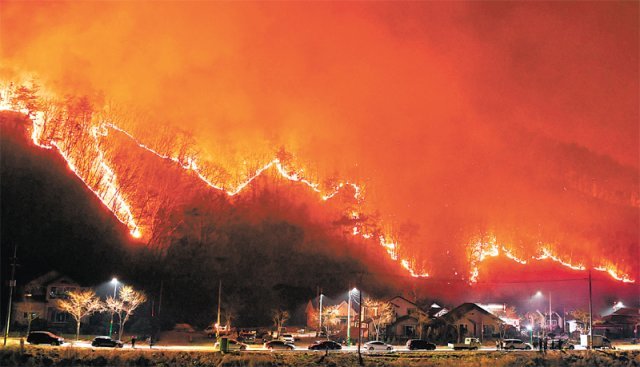 산불 3단계 발령 시 꼭 알아야 할 행동 요령 총정리
