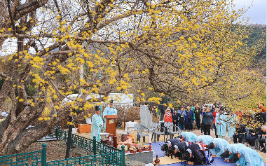 구례 산수유꽃 축제일정