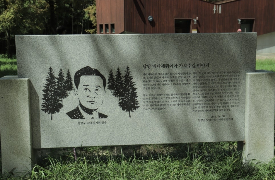 담양 메타세쿼이아 가로수길 이야기