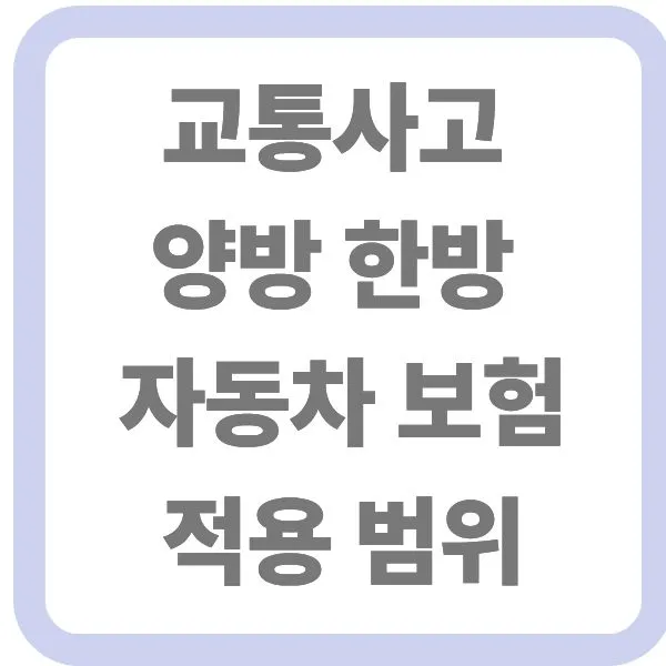 교통사고 양방 한방 자동차 보험 적용 범위 텍스트 이미지