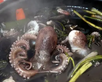 서천 동백꽃 주꾸미 축제_21