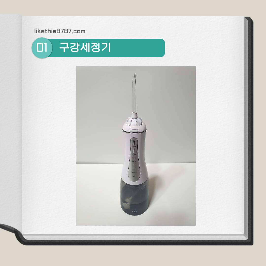 구강세정기