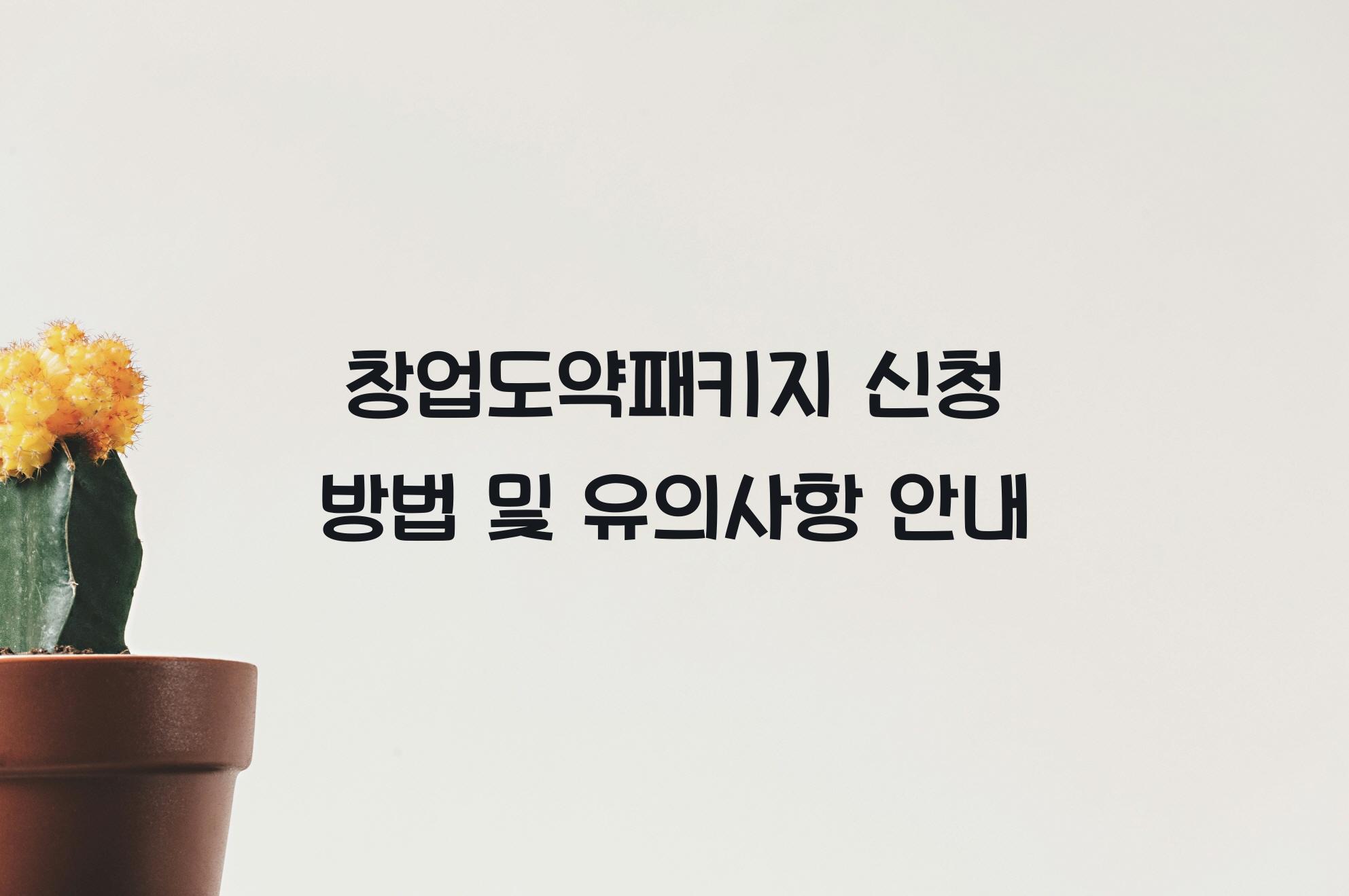 창업도약패키지