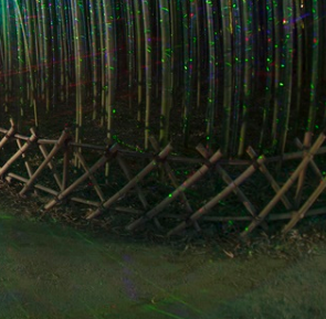 전국 수목원 BEST 5 – 자연의 품으로 떠나는 진짜 힐링 여행