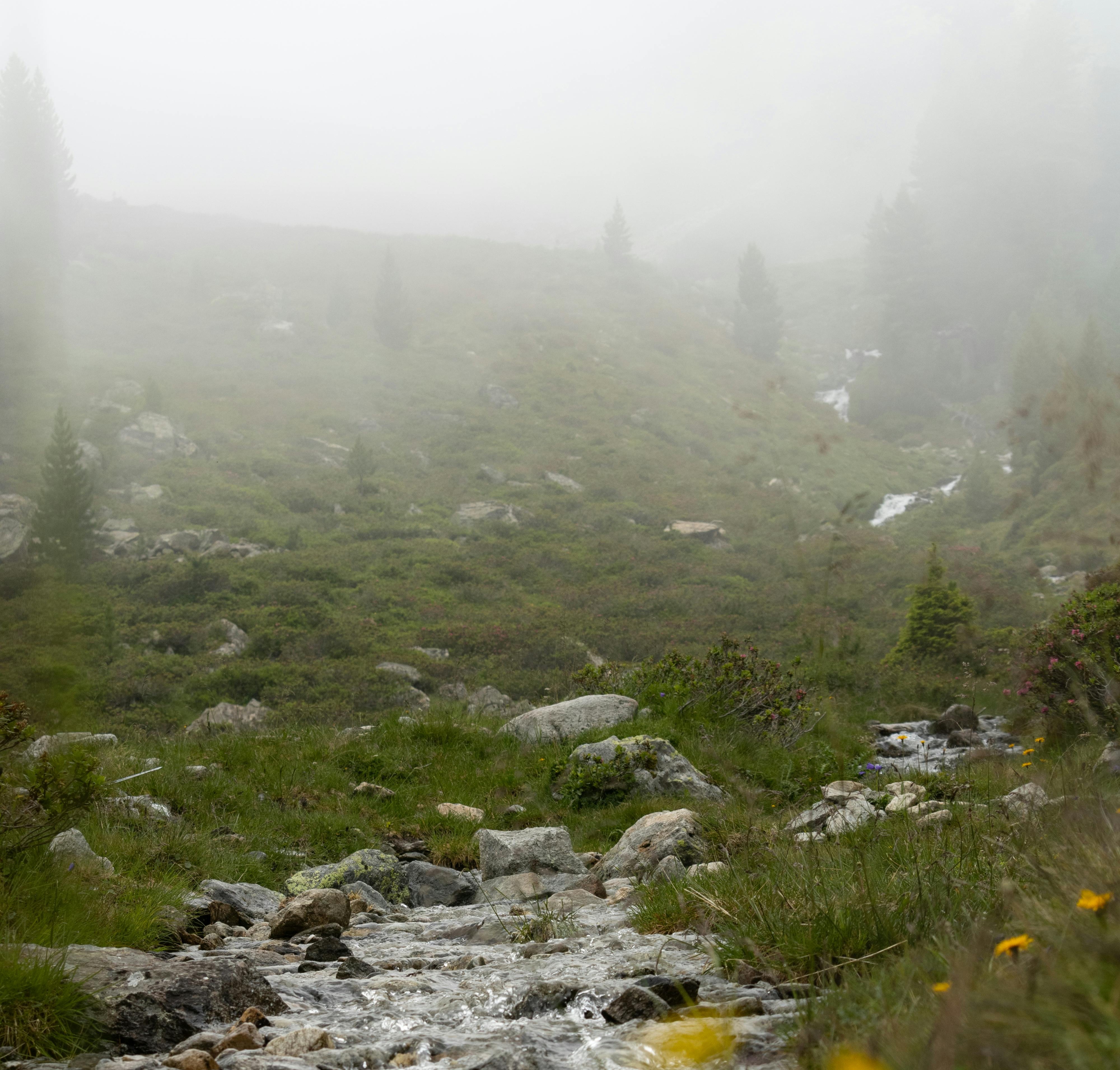 봄철 황사와 미세먼지