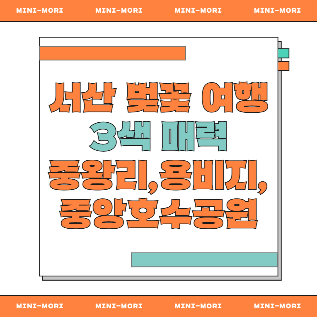 서산 벚꽃 여행
