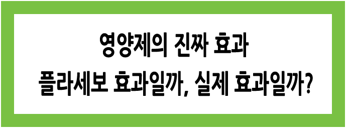 Alt 속성 문제 해결 설명 이미지