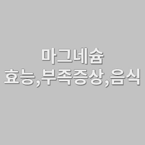 마그네슘 효능,부족증상,음식