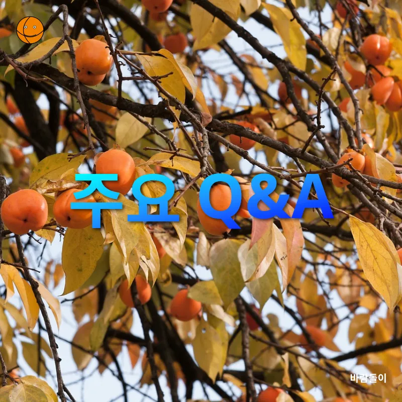 단감 디저트_4