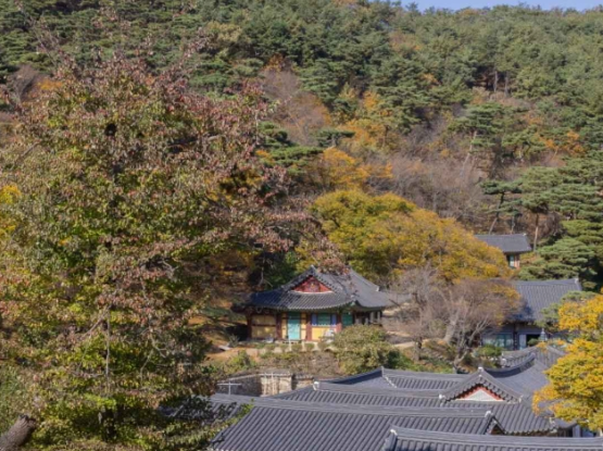 인천 가볼만한곳 베스트10