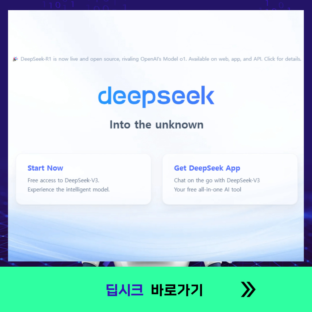 딥시크 뜻
