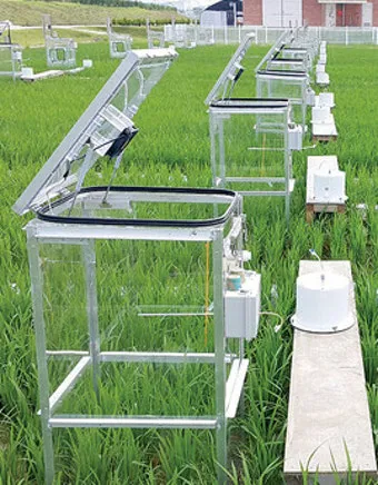 농사 물 관리 비가림 설치 배수로 정비 가뭄 대비 빗물 저장_3