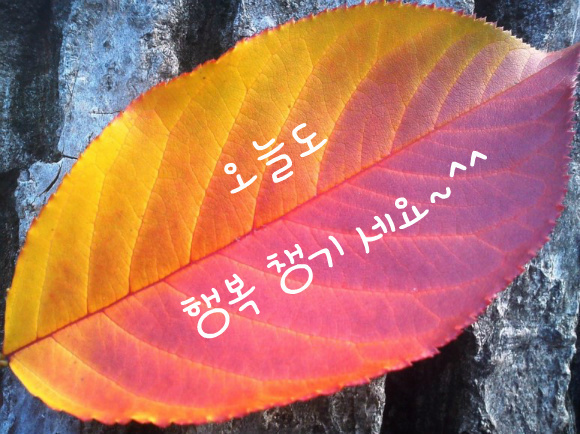 오늘도 행복 챙기세요~^^