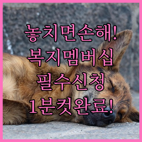 국가 복지 혜택 누락 방지 복지멤버십..