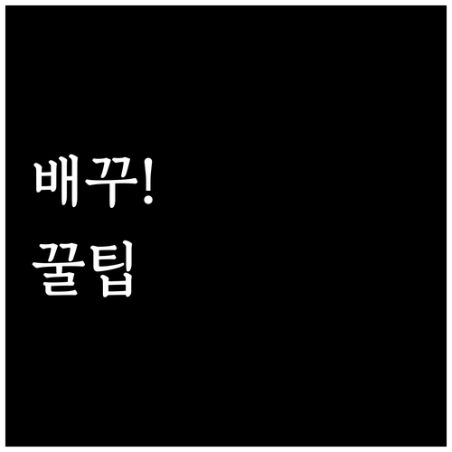 미국 배당주 배당 성장과 안정성 확인..