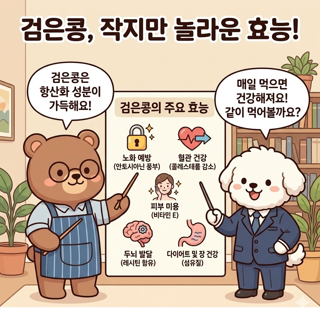 검은콩 효능 건강을 위해 챙기기 전 꼭 알아야 할 핵심 정보