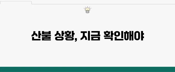 2024 산불지도 최신 업데이트