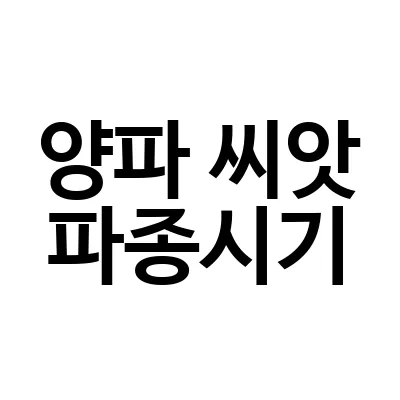 양파 씨앗 파종시기