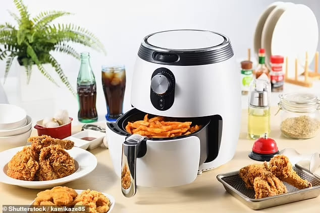 에어 프라이어에 절대 요리해서는 안 되는 푸드 The 7 foods you should NEVER cook in an air fryer, according to ex
