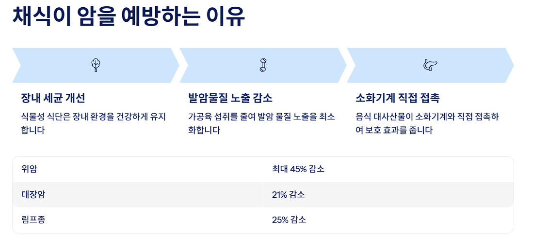 채식이 암을 예방하는 이유