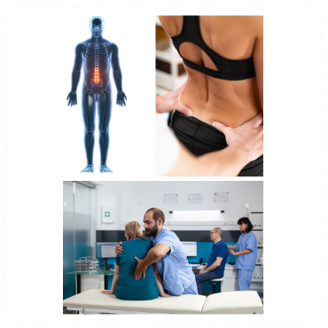 척수손상 증상과 신경로와의 관계