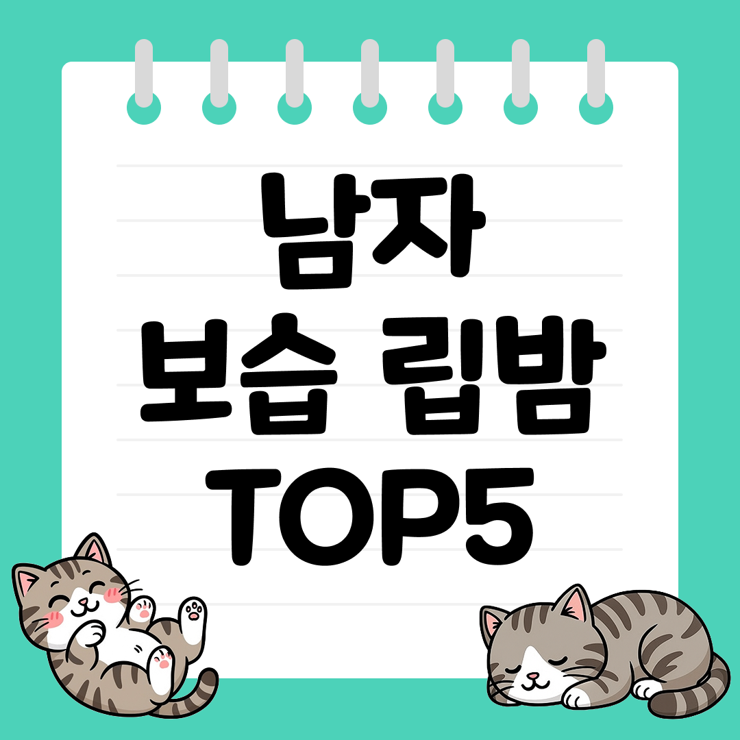 겨울철 필수템, 남자 보습 립밤 TOP5