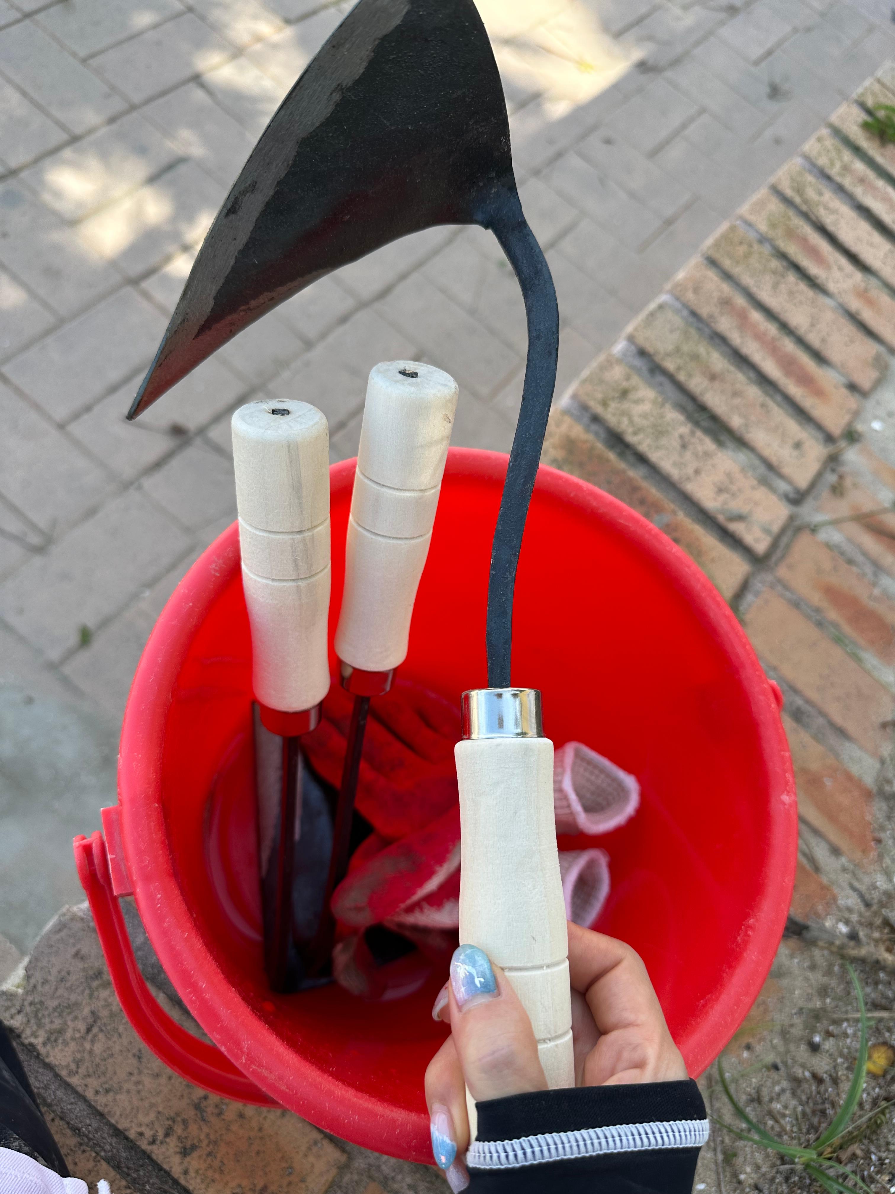 충남 보령, 대천, 무창포 여행 후기3(국내 가족 여행지 추천, 무창포 비체팰리스, 또다시 갯벌체험, 대천 맛집 부페, 점심 밥집 뷔페, 진짜 예쁜 카페 아르나, 분위기 좋은 카페 아르나, 한밤중 닭벼슬섬 산책, 대천항 수산시장 재방문, 찰광어회, 오징어회, 우성수산, 수연호수산, 무창포 비체펠리스, 오션뷰, 밥 해먹을 수 있는 숙소, 무창포 펜션)