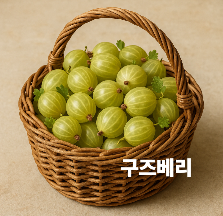 피부탄력 상처치유 체중관리 혈압조절 심혈관건강 구즈베리 효능 영양성분