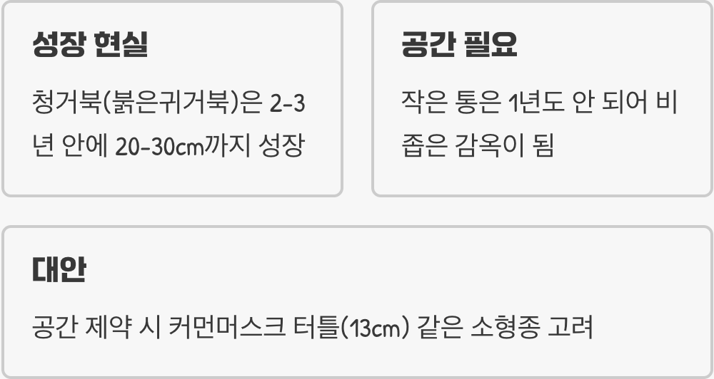 1. 손바닥만 한 아기&amp;#44; 30cm 거인이 됩니다