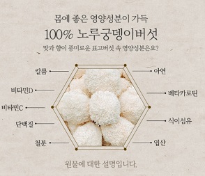 노루궁뎅이버섯효능